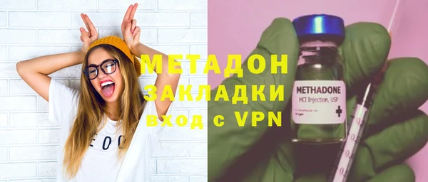 гашик Алексин