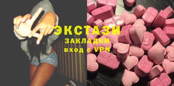 гашик Алексин