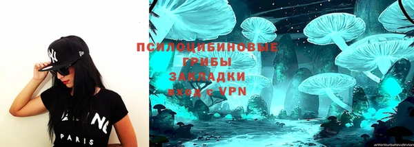 гашик Алексин