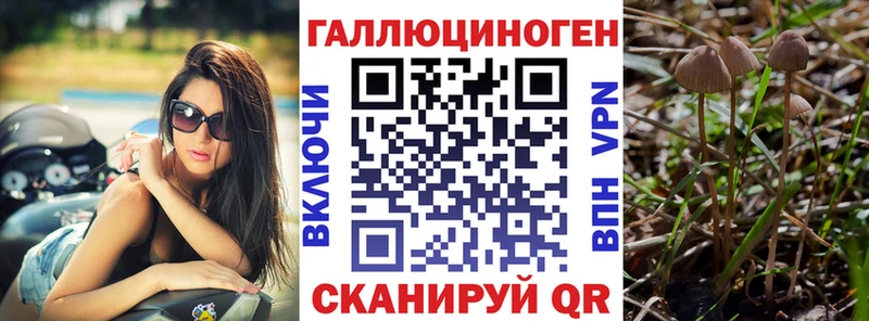 Галлюциногенные грибы Magic Shrooms  купить   Новочебоксарск 
